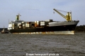 Australian Exporter (MS-K).jpg