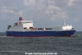 Global Carrier (110806-4-MS).jpg