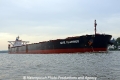 Cape Flamingo 021012-10.jpg