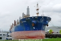 Bam Arion (MB-040926-1).jpg