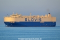 Glovis Champion HK-040417.jpg
