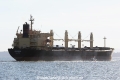 Apageon RV-281014-05.jpg