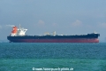 Olympic Lion OS-101019-07.jpg