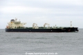 Costas P (MB-220724-4).jpg