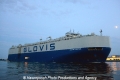 Glovis Champion 160813-25.jpg