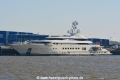 Pelorus JG-110322.jpg