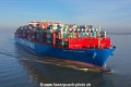 Cosco Shipping Pisces KH-260219-5.jpg