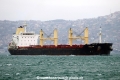 Apellis (OK-070315-2).jpg