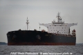 Cape Elise 081014-01.jpg