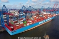 COSCO Shipping Scorpio (KB-D310823-04).jpg