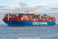 COSCO Shipping Libra SH-290119-01.jpg