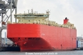Glovis Cardinal (KB-D250915-01).jpg