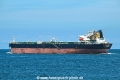 Claret Prince OS-070822-17.jpg