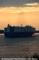 Glovis Challenge 280912-12.jpg