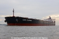 Cape Flamingo 021012-12.jpg