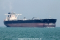 New Caesar (MS-040416-08).jpg