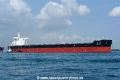Cape India OS-291017-10.jpg