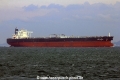 New Vanguard (MS-100418-11).jpg