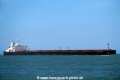 Cape Eagle (K280799-MS).jpg