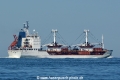 Silver Horn HK-150718-3.jpg