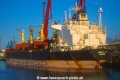 Annika N (K2000-MS).jpg