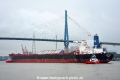 Cape Island (KB-D200915-04).jpg