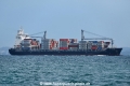B Trader OS-211019.jpg