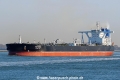 New Vision SH-121122-01.jpg