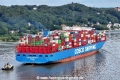 Cosco Shipping Scorpio 290823-14.jpg