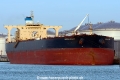 North Loyalty (MM-250324-1).jpg