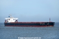 Cape Flamingo OS-100617-04.jpg
