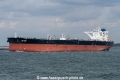 New Merit SH-240818-02.jpg