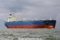 New Vista (OS-FN800-1).jpg