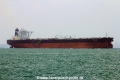 New Harmony (MS-100418-08).jpg