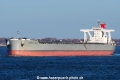 Cape Clover SH-020423-01.jpg