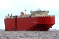 Glovis Cardinal (KK-050716-0).jpg