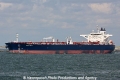 Crude Alfa (AW-110609-02).jpg
