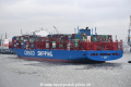 Cosco Shipping Taurus 090318-21.jpg