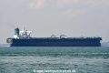 New Vigorous OS-201019-06.jpg