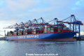 COSCO Shipping Scorpio (KB-D290918-01).jpg