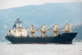Rising Hawk (OK-220214-0).jpg