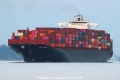 RDO Concord TL-260824-1.jpg