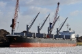 Royal Fairness (KB-D150212-01).jpg