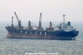Rosy Falcon 151208-04.jpg