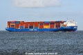 Tiger Maanshan JG-141026-3.jpg