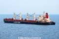 Sandpiper Bulker HK-250812.jpg