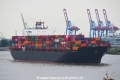 Rotterdam Star 220520-01.jpg