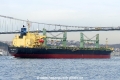 Samos Majesty (OK-060315-2).jpg