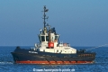 VB Bison JG-180226.jpg
