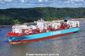 San Marco Maersk 230823-05.jpg